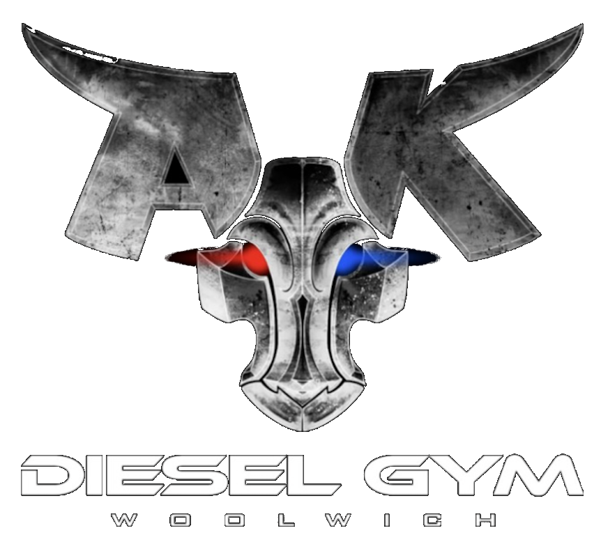 Diesel gym, alqanater al khayria road , al Qalyubia - صالات رياضية في القليوبية