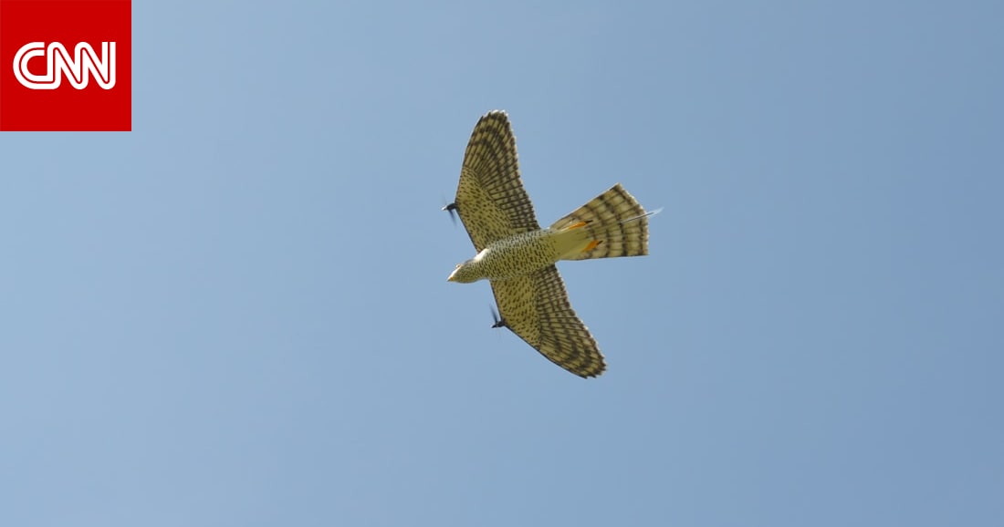 دكتور صدام الصقور - عيادات أسنان في الطفيلة