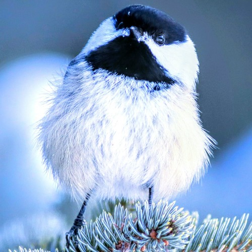 Dr Khaled Qenawy - عيادات جلدية في الأقصر