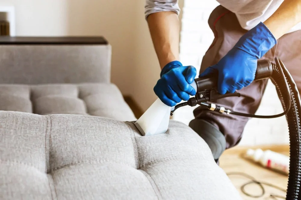 دراي كاار اولاد عشماوي - شركات تنظيف في المنوفية