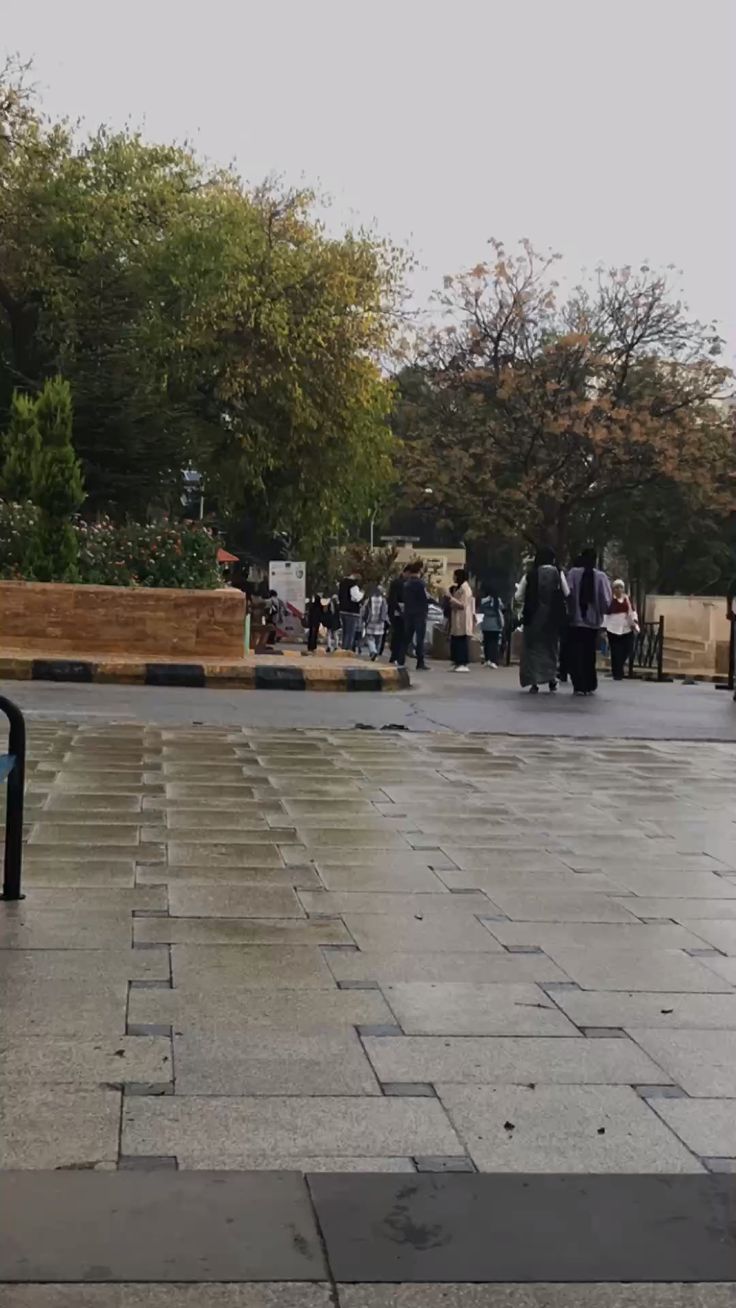 دراي كلين طلة السلط - شركات تنظيف في البلقاء