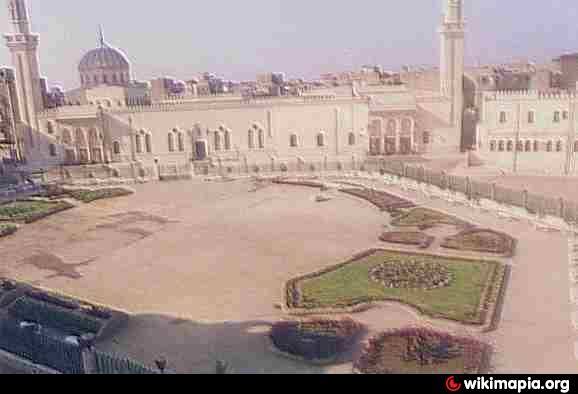 Dr.Esraa Elnaggar - Perfect Clinics Kafr el Sheikh - زراعة الشعر في كفر الشيخ