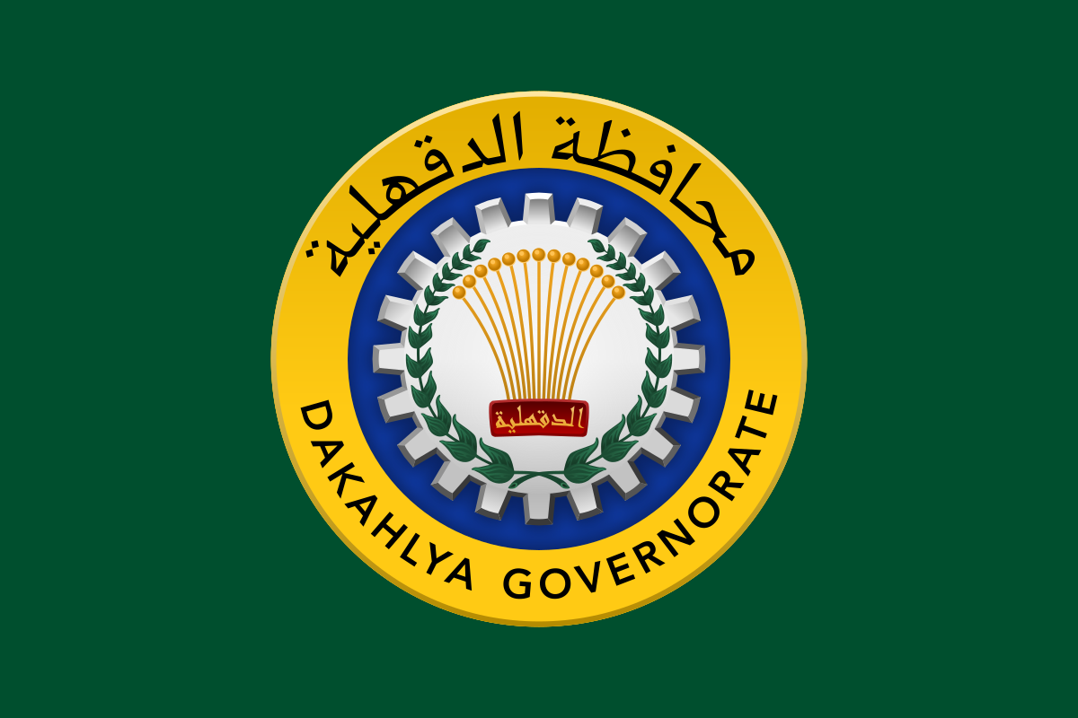 drtyf - شركات تنظيف في الدقهلية