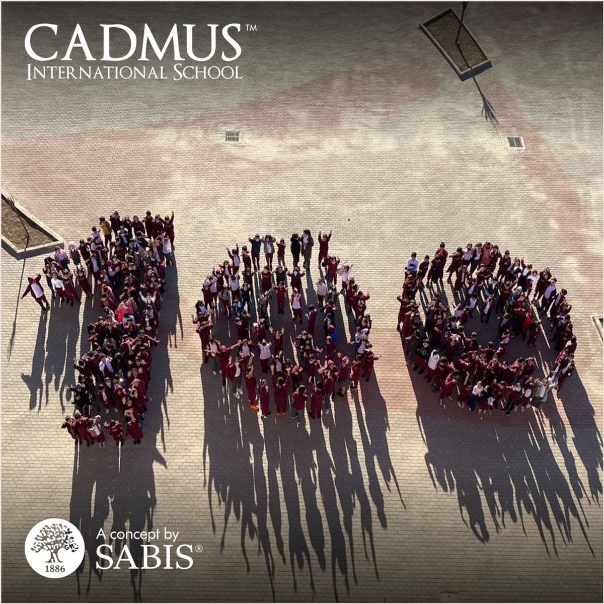 Duhok private World School - مدارس في دهوك