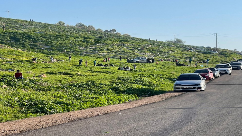 دونات تايم عجلون - حلويات في عجلون