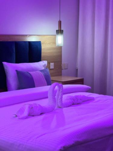 ضيف بارك للأجنحة الفندقيه - فنادق في الدوادمي