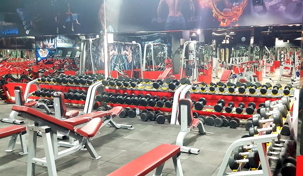 Elegance Fitness Club & Gym - صالات رياضية في الوفرة