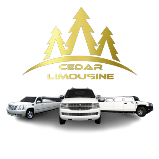 Elmagd Limousine Service المجد للرحلات و تأجير السيارات - خدمات سيارات في الأقصر