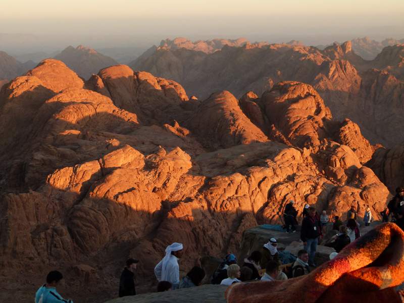 Elsheik Mousa - مراكز طبية في الأقصر