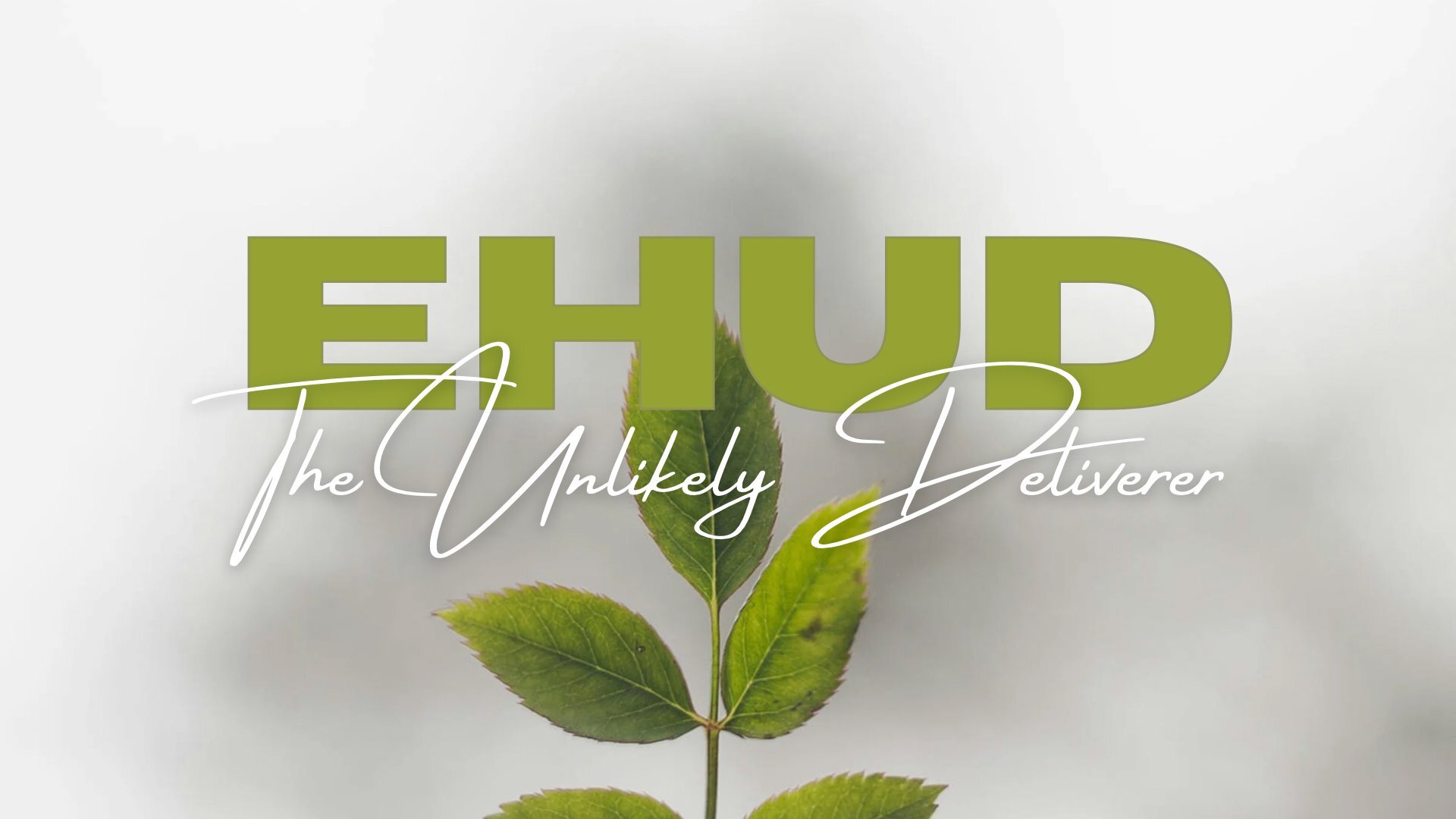 Euhud Supermarket - سوبرماركت في الحدود الشمالية