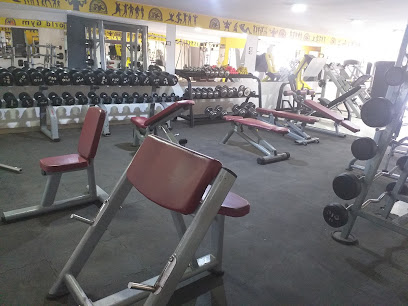 Fitness World Gym1 - صالات رياضية في الدقهلية