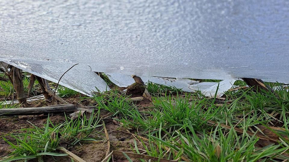 Floe Ice cream shop - حلويات في دبي