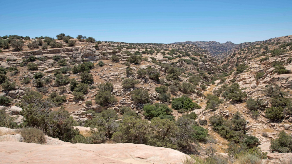 فندق أصدقاء ضانا - فنادق في الطفيلة
