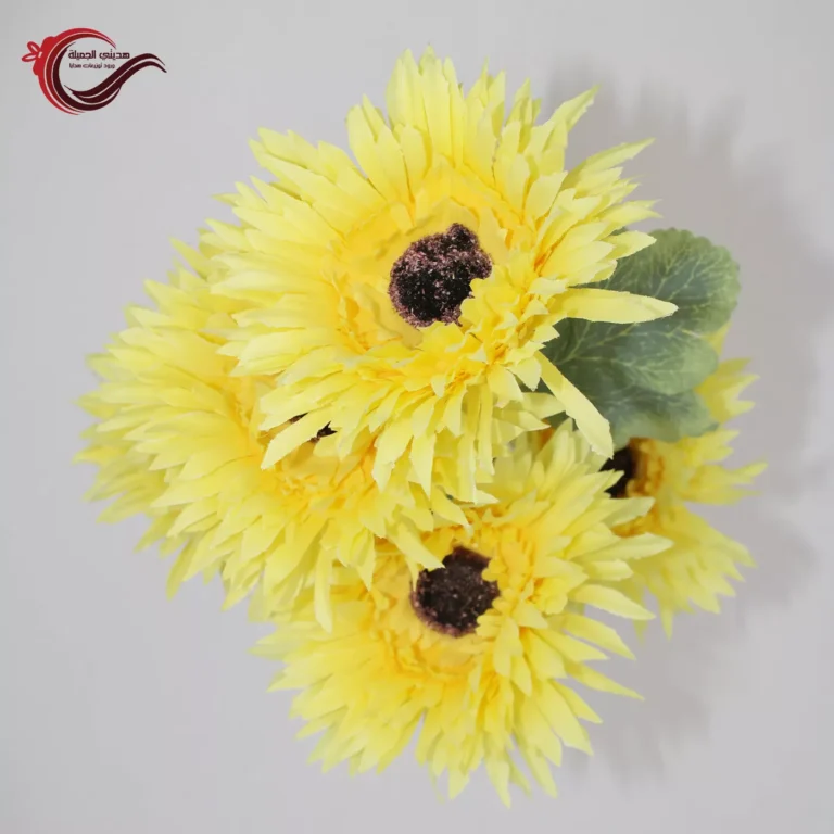 فندق دوار الشمس - فنادق في الأقصر