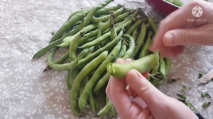 فول الشرقية - مطاعم في مكة المكرمة