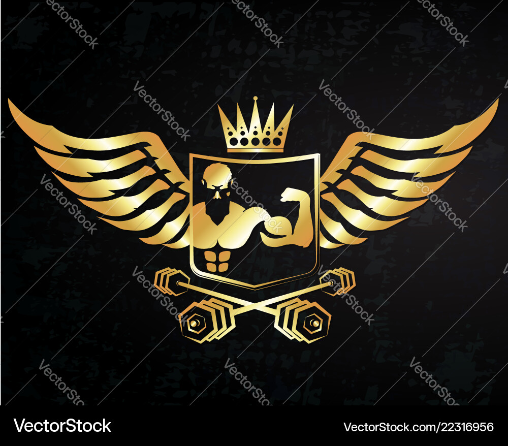 في اي بي جيم - صالات رياضية في حولي