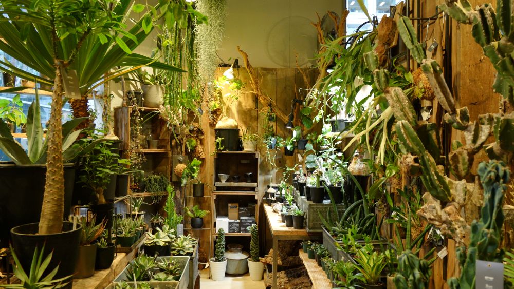 Garage TOKYO كراج طوكيو - خدمات سيارات في أم القيوين