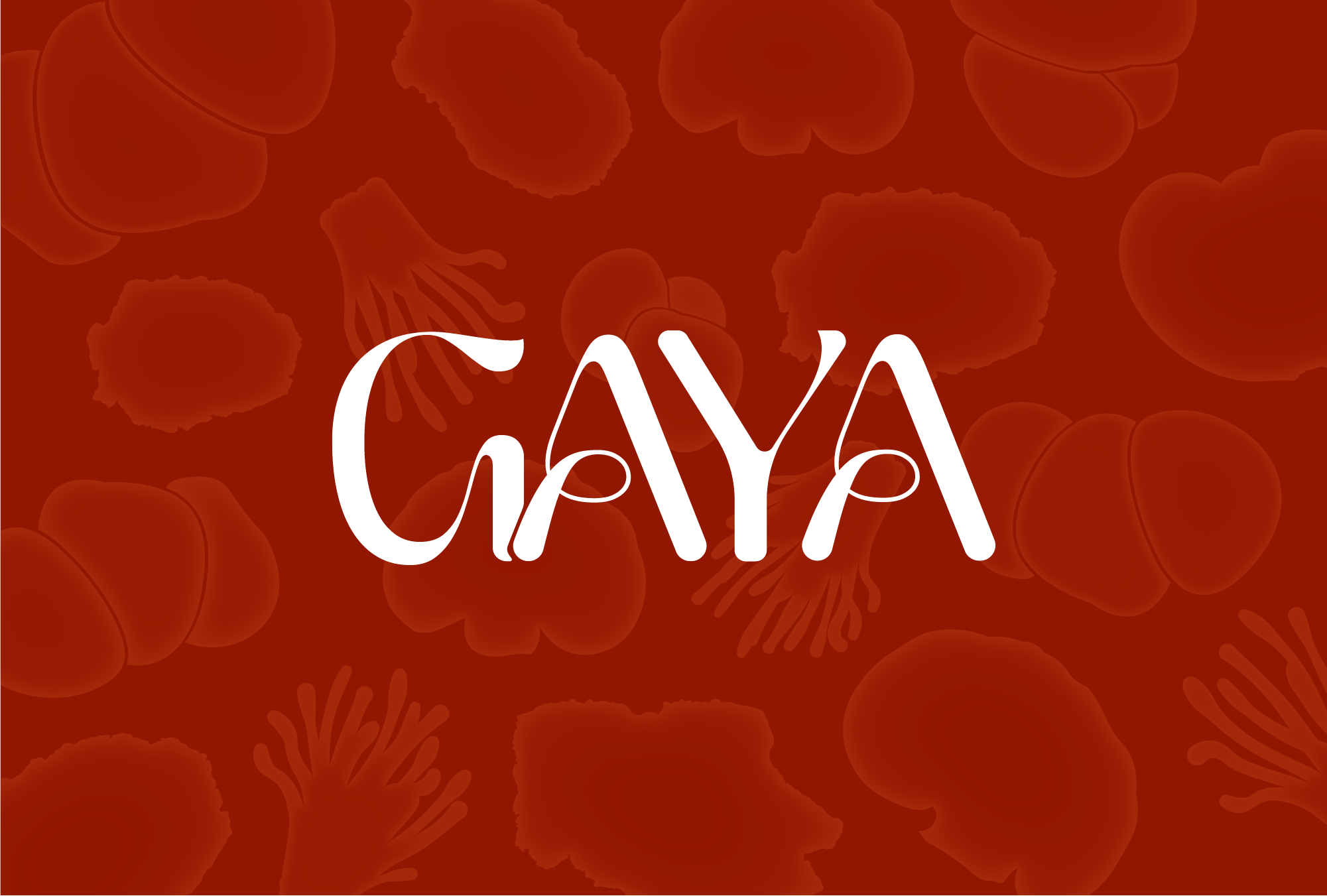 Gaya sweets غايه سويت - محلات حلويات في رأس الخيمة