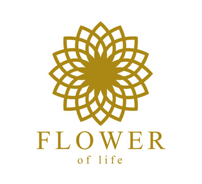 GeustHouse Flowerof life - فنادق في سوهاج