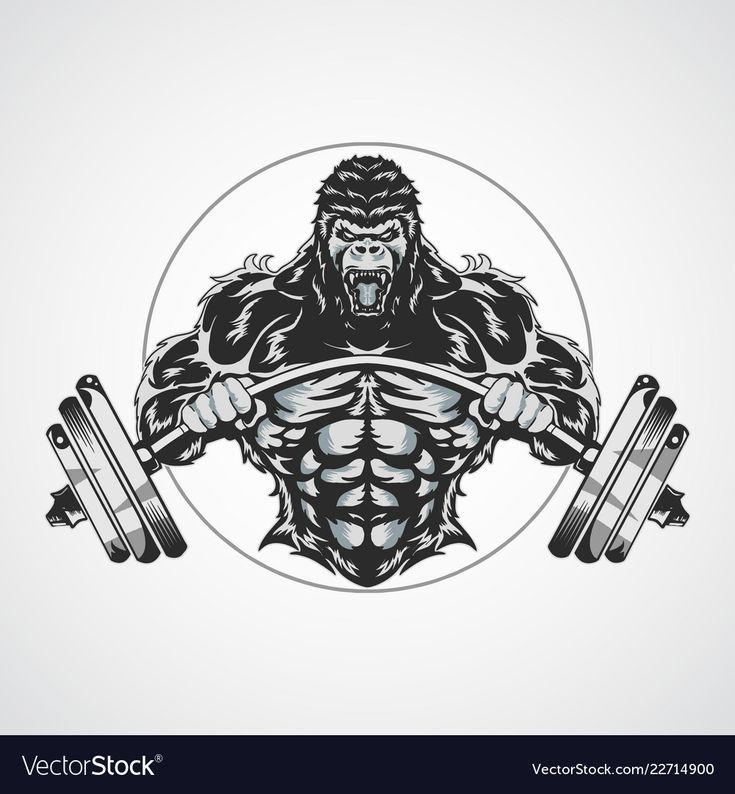 Gorilla Gym - صالات رياضية في بغداد