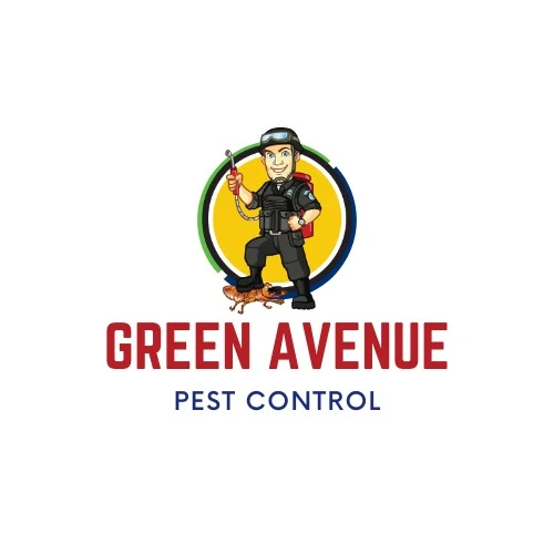 Green Avenue Pest Control & Cleaning - شركات تنظيف في الشارقة