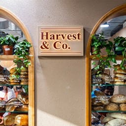 Harvest & Co - Dubai Garden Centre - كافيهات في دبي