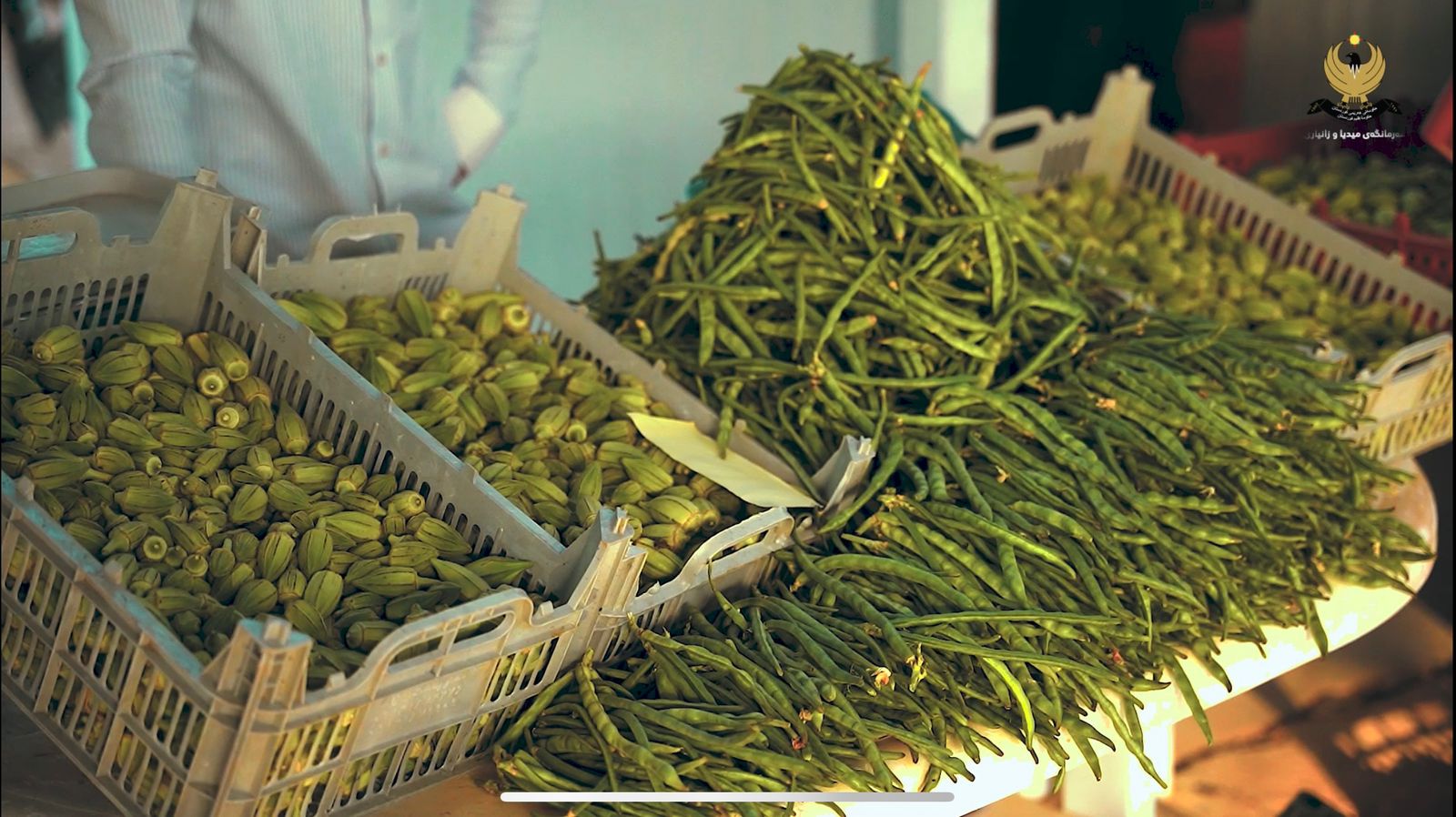 هەفتەبازاڕی باوک - سوبرماركت في حلبجة