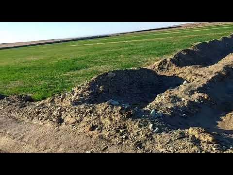 حلم الوادى - مراكز تجميل في الوادي الجديد