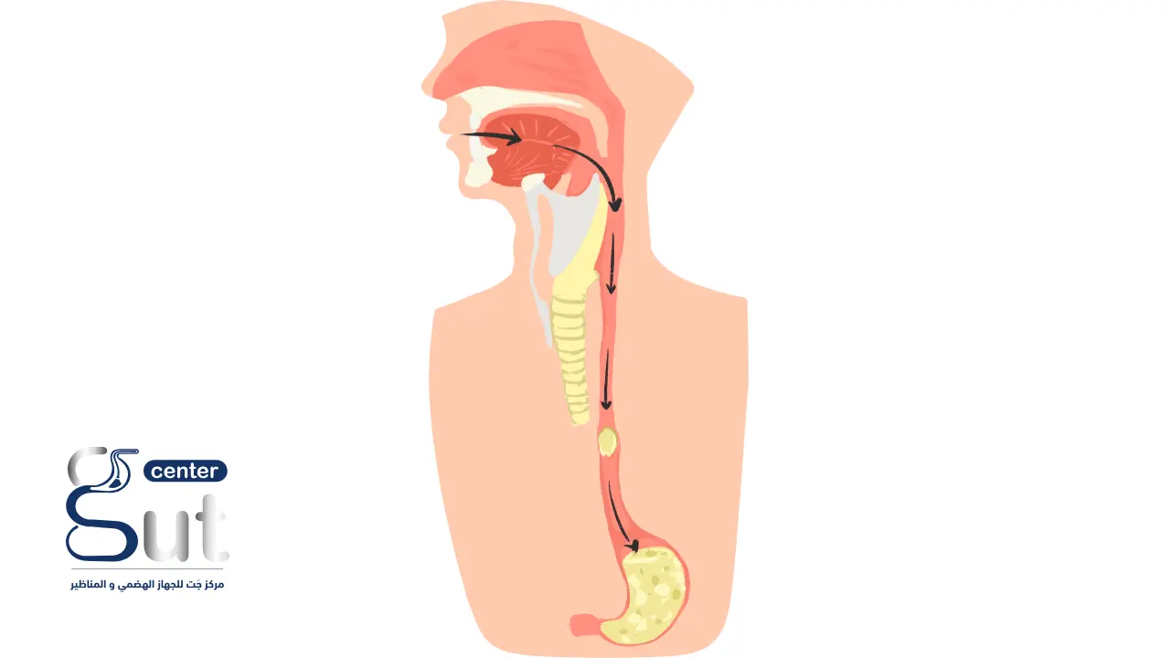 H.R.M مركز حركية الجهاز الهضمي - مراكز طبية في المنوفية