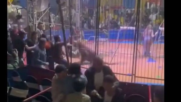 حتة بعيدة كافية - كافيهات في طنطا