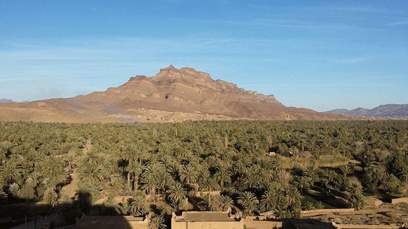 حواش - مطاعم في الوادي الجديد
