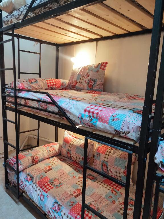 هوستل قصر الشباب - فنادق في الإسكندرية