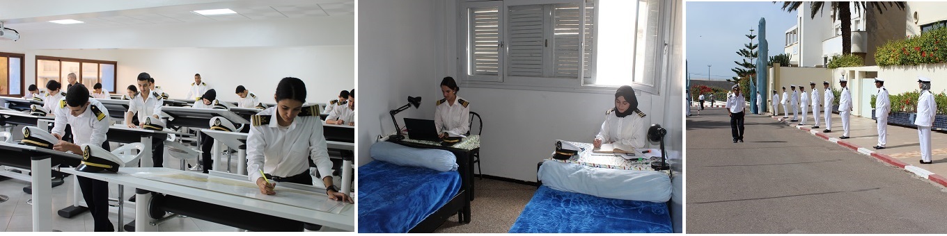 Ispm הדברה - شركات تنظيف في العقبة