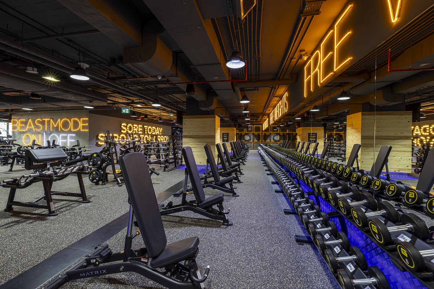 جيم الوسام فيتنس - صالات رياضية في عمّان