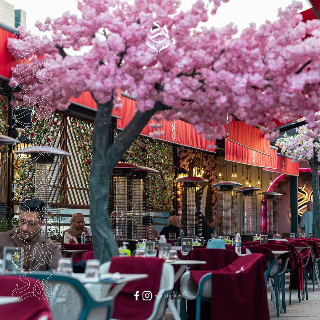 كافيه و مطعم ورد- waard - كافيهات في المنيا