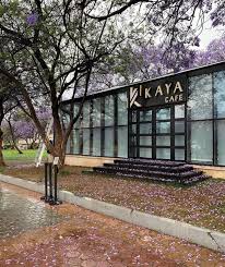 كايا كافيه - كافيهات في أبها