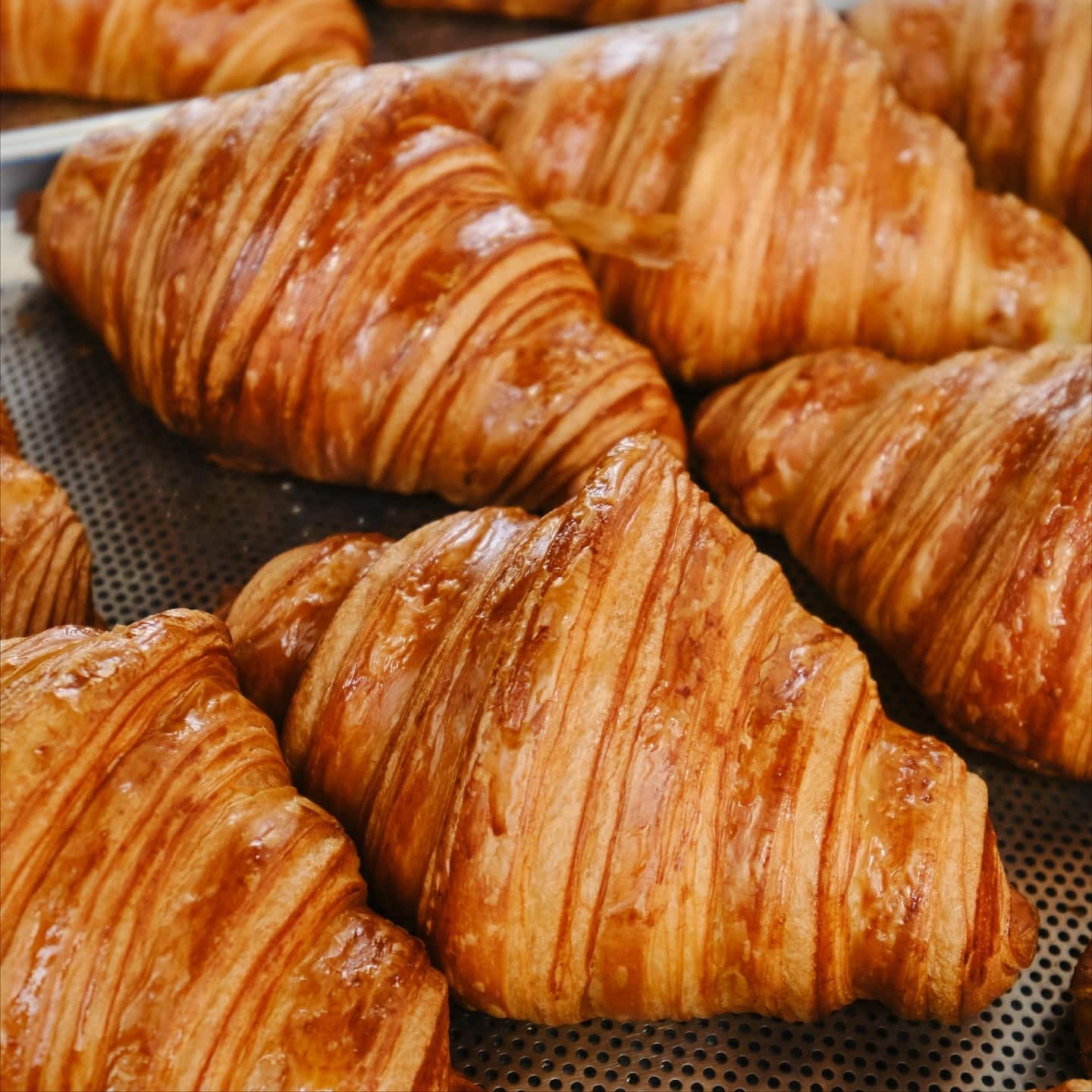 Kneaded Al Khawaneej - حلويات في الشارقة