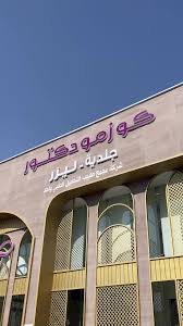 كوزمو دكتور - زراعة الشعر في القصيم