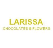 لاريسا للشوكولاته - حلويات في الريان