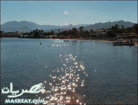 Lindy's Dahab Restaurant - مطاعم في جنوب سيناء