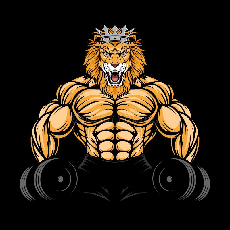 Lion gym - صالات رياضية في بابل
