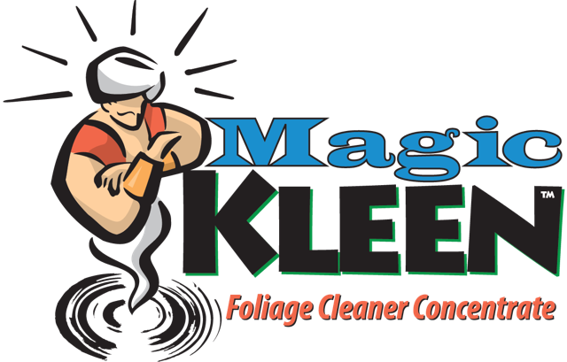 Magic clean مجيك كلين الاسكندريه - شركات تنظيف في الإسكندرية