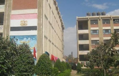 مدرسة اللغات الإسلامية الجديدة - مدارس في السويس