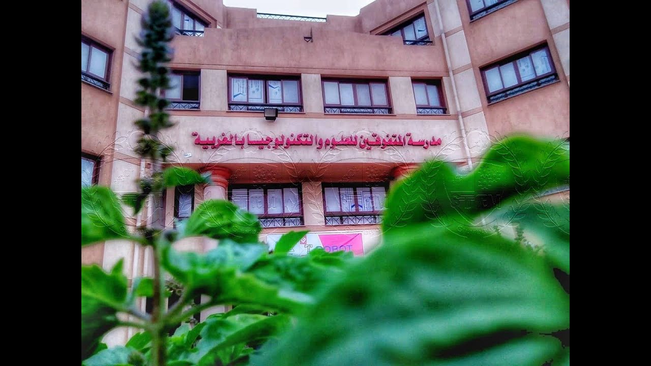 مدرسة المتفوقين للعلوم والتكنولوجيا بالغربية STEM Gharbya - مدارس في الغربية