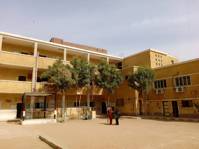 مدرسة علي ناصر الابتدائية المشتركة Ali Naser Primary School - مدارس في أسوان