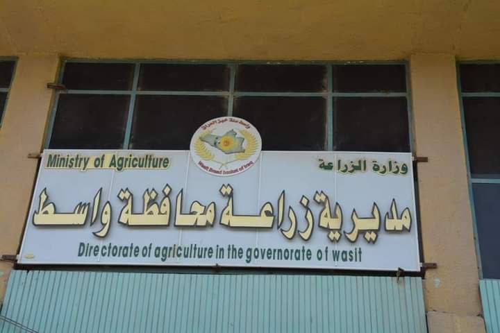 مديرية الزراعة في محافظة واسط - زراعة الشعر في واسط