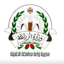 مديرية زراعة محافظة الطفيلة - زراعة الشعر في الطفيلة