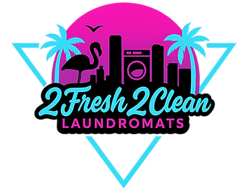 مغسله فاملي كلين 2 - شركات تنظيف في المنيا