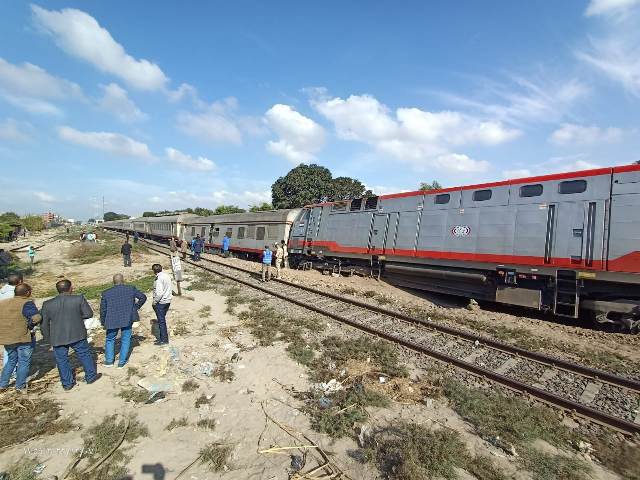 محطة قطار القنطرة غرب - زراعة الشعر في الإسماعيلية