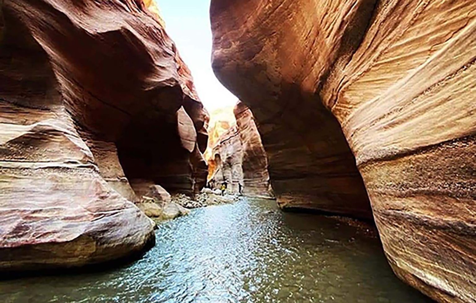 مخيم وادي الحسا السياحي - فنادق في الكرك